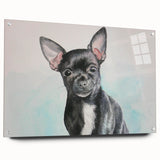 Chihuahua wall art design showcased in a sleek acrylic glass frame, featuring vibrant colors and intricate details, ideal for pet lovers' home decor.