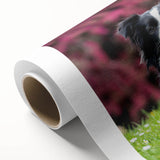 Vibrant rolled canvas wall art showcasing a stunning collie design, perfect for dog lovers, featuring intricate details and rich colors, ideal for home decor.