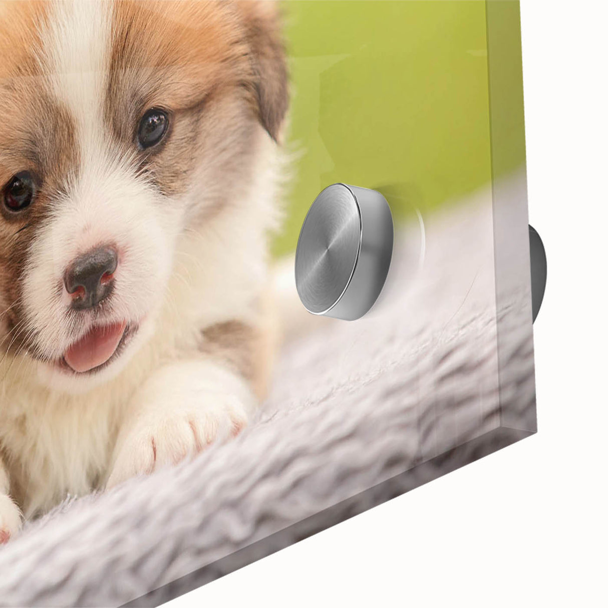 Close-up view of a vibrant acrylic glass wall art piece featuring a playful corgi design, showcasing rich colors and intricate details, perfect for dog lovers' decor.