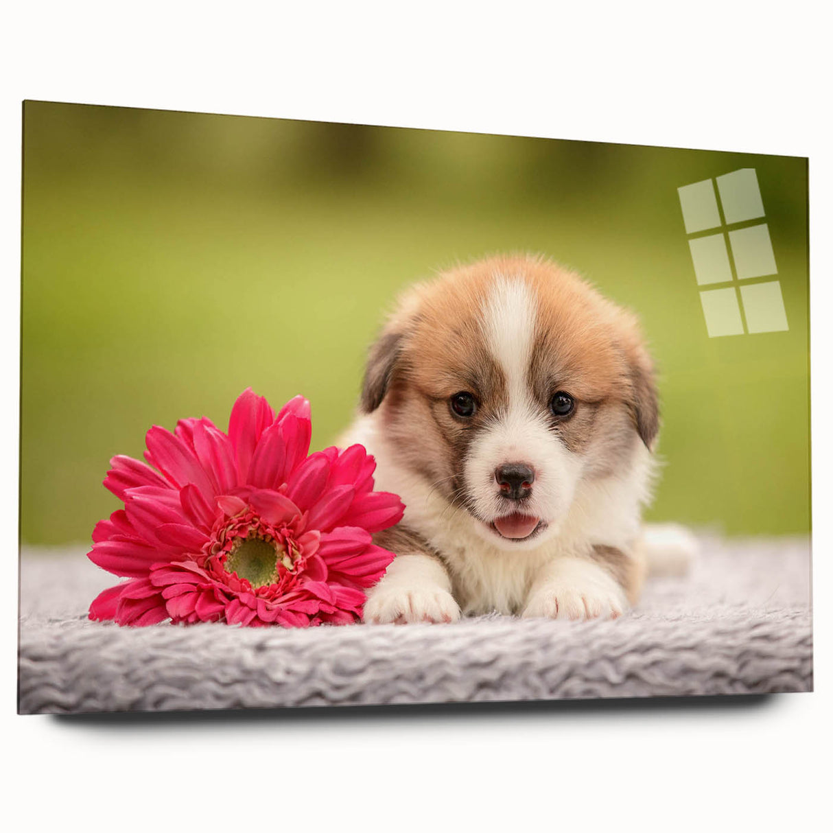 Corgi-themed wall art design displayed in a side view, showcasing vibrant colors and playful patterns on acrylic glass, perfect for dog lovers' home decor.
