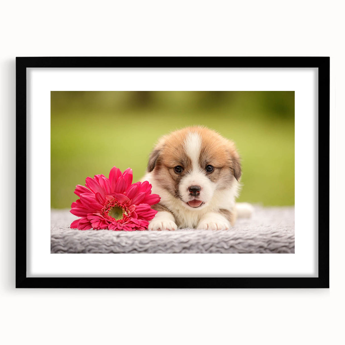 Corgi-themed wall art print displayed in a sleek black frame with matting, featuring an adorable corgi design, perfect for dog lovers and home decor enthusiasts.