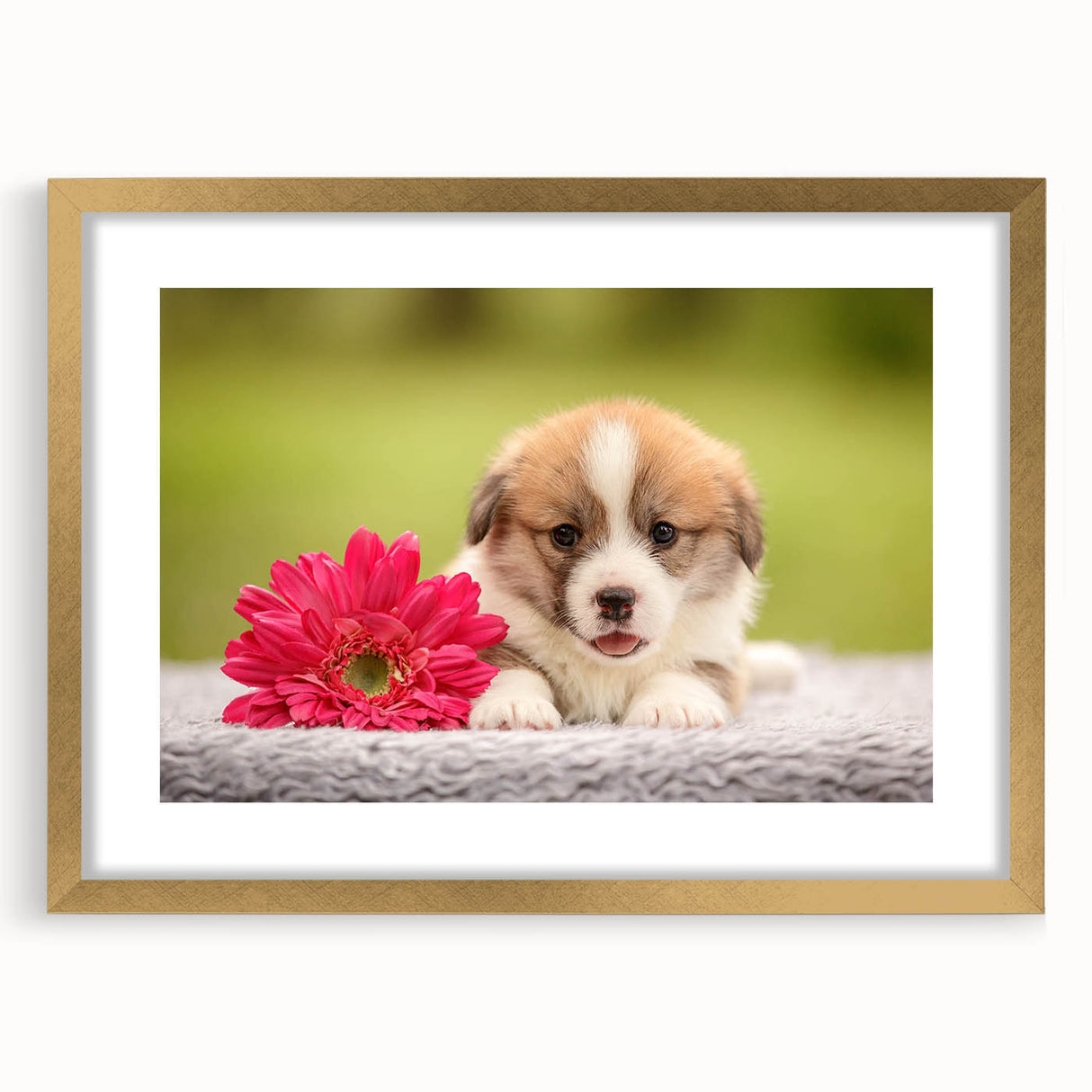 Corgi-inspired wall art design framed in gold, showcasing a playful corgi illustration on a white background, perfect for dog lovers' home decor.