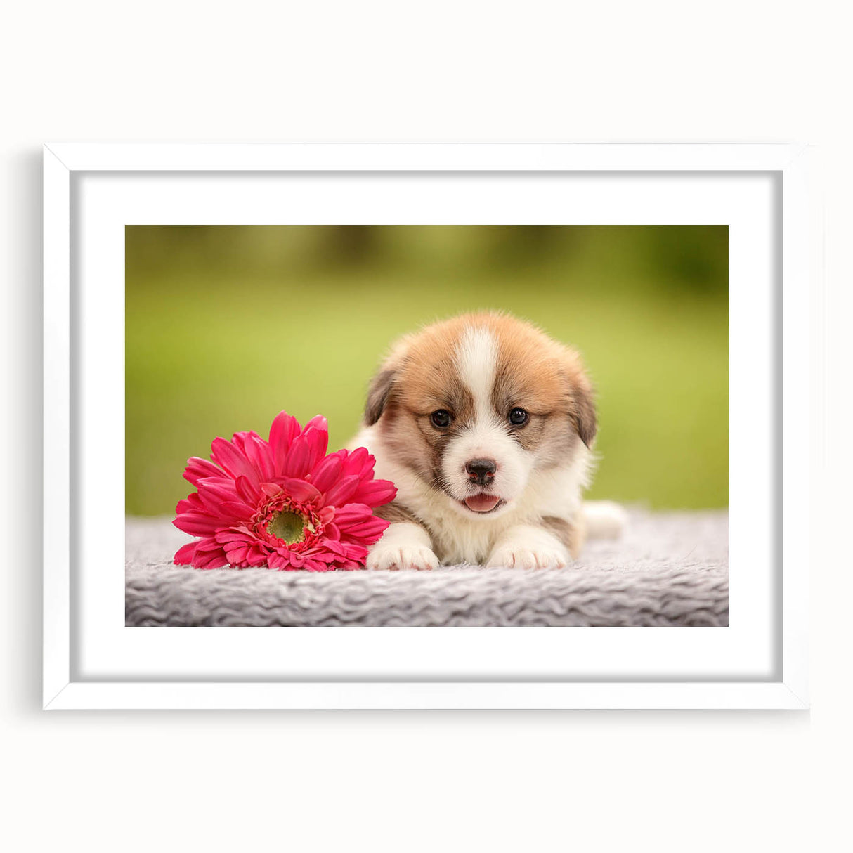 Corgi wall art design framed in white with a mat, showcasing a playful corgi illustration against a minimalist background, perfect for dog lovers' decor.