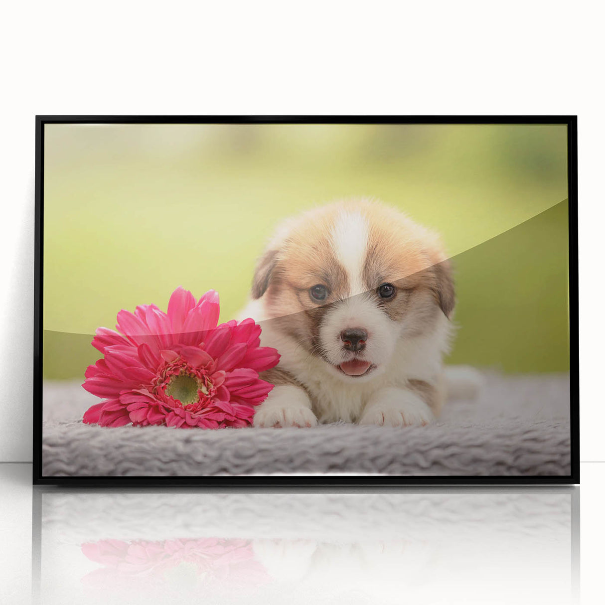 Framed wall art featuring a playful corgi design, showcasing vibrant colors with a sleek black frame, perfect for dog lovers' home decor. Ideal for adding a whimsical touch to any room.