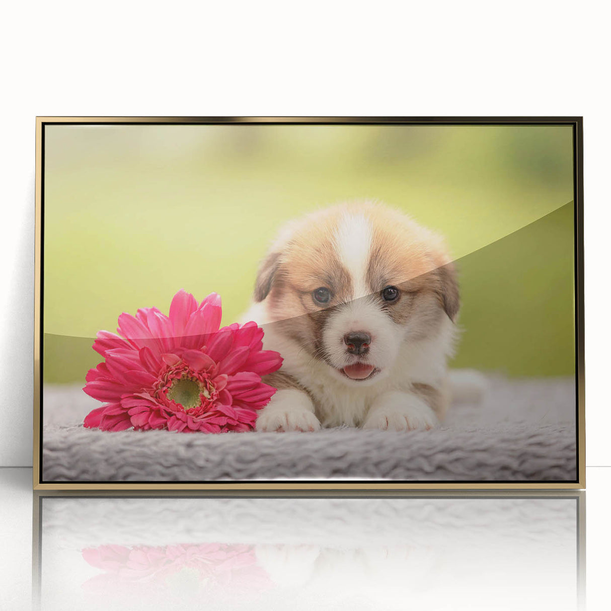 Framed wall art featuring a vibrant corgi design with a gold-acrylic finish, showcasing the playful essence of corgis against a modern backdrop, ideal for pet lovers.