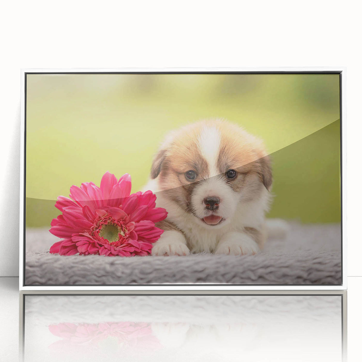 Framed wall art featuring a playful corgi design in vibrant colors, showcased in a sleek white frame, perfect for dog lovers and home decor enthusiasts.