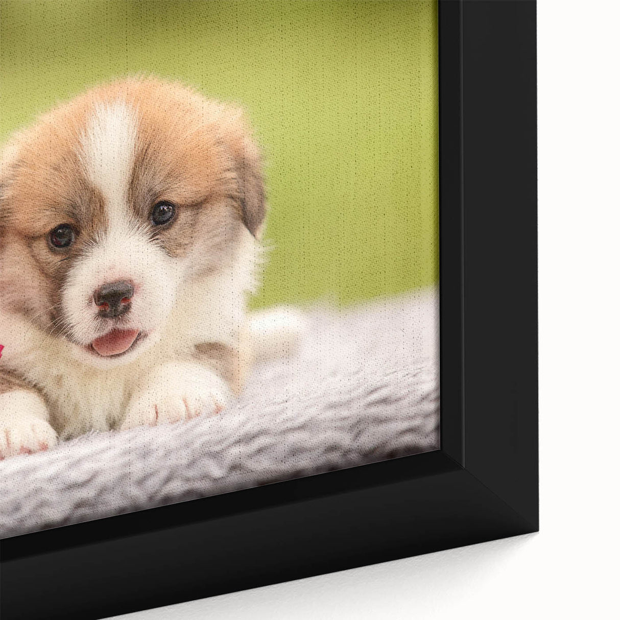 Framed wall art featuring a close-up of a playful Corgi design, showcasing vibrant colors and intricate details, perfect for dog lovers and home decor enthusiasts.