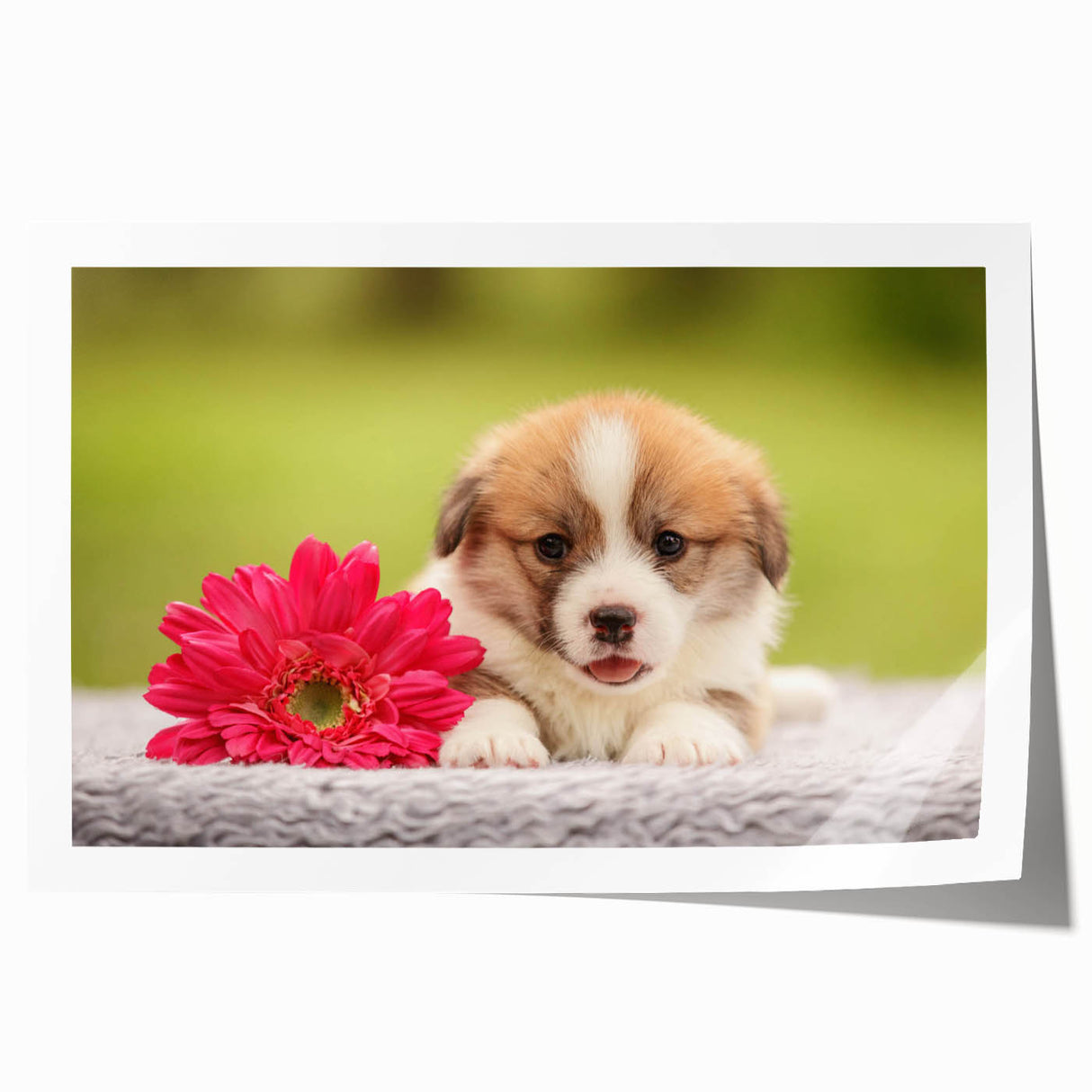 Corgi-themed wall art print featuring vibrant colors and playful designs, rolled and ready for display. Ideal for dog lovers seeking unique home decor.