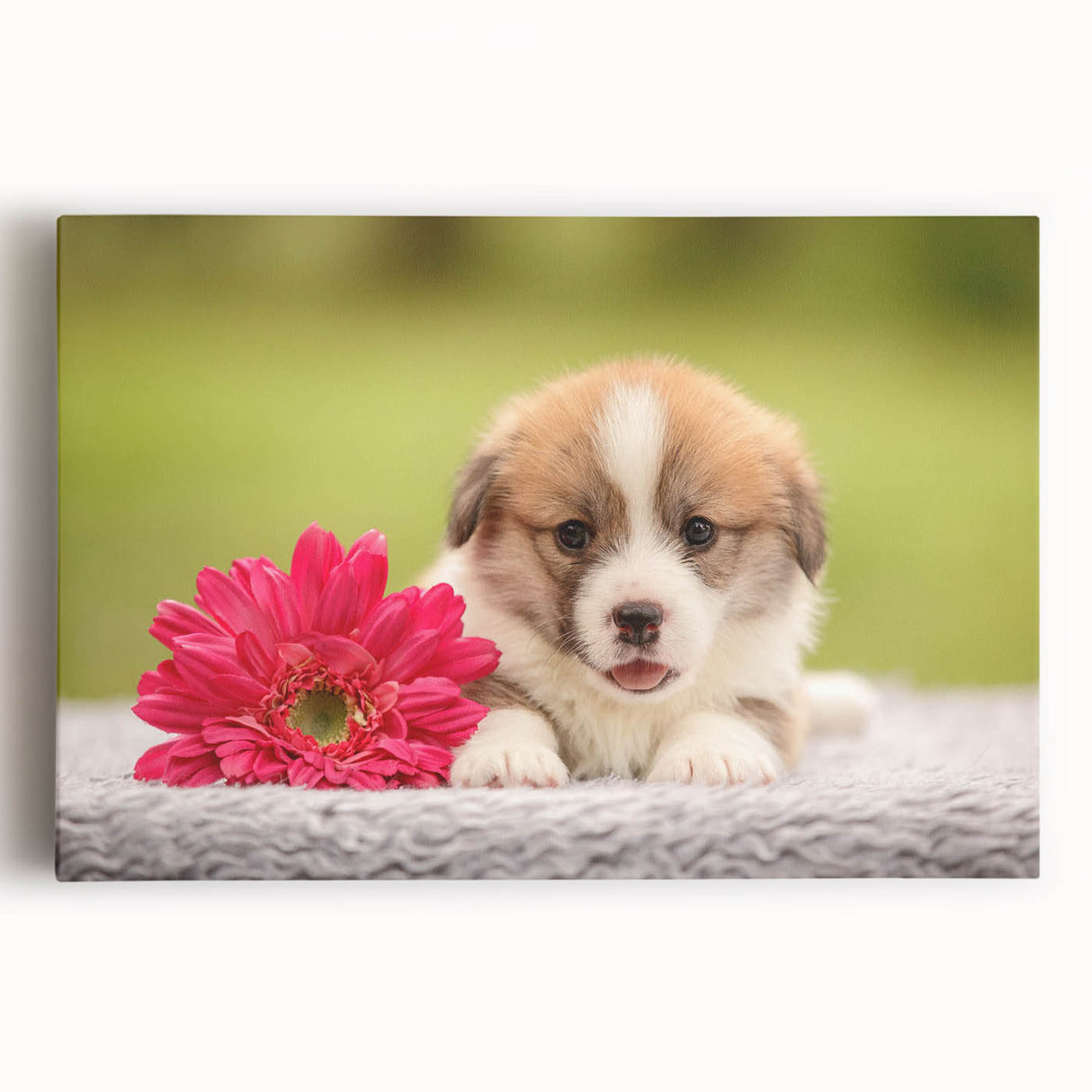 Corgi-themed wall art featuring a playful design on stretched canvas, showcasing vibrant colors and charming details, perfect for dog lovers' home decor.