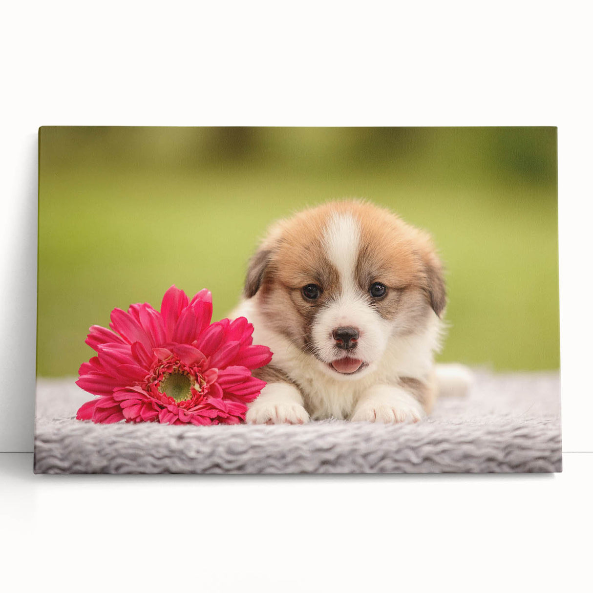 Corgi-themed stretched canvas wall art featuring a playful corgi design with vibrant colors, perfect for dog lovers and home décor enthusiasts.
