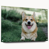 Corgi-themed wall art collection displayed in acrylic glass, showcasing vibrant colors and detailed design, perfect for dog lovers and home decor enthusiasts.