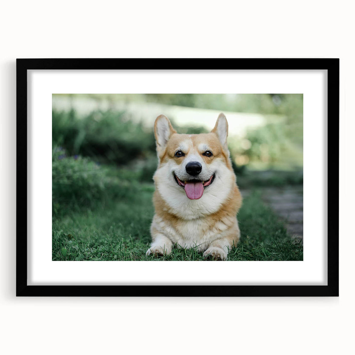 Corgi-themed wall art collection framed in black with a white mat, showcasing playful corgi illustrations that add charm to any room decor. Perfect for dog lovers.