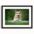 Corgi wall art collection framed with a black mat, featuring playful corgi designs in vibrant colors, ideal for dog lovers and home decor enthusiasts.