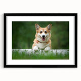 Corgi wall art collection framed with a black mat, featuring playful corgi designs in vibrant colors, ideal for dog lovers and home decor enthusiasts.