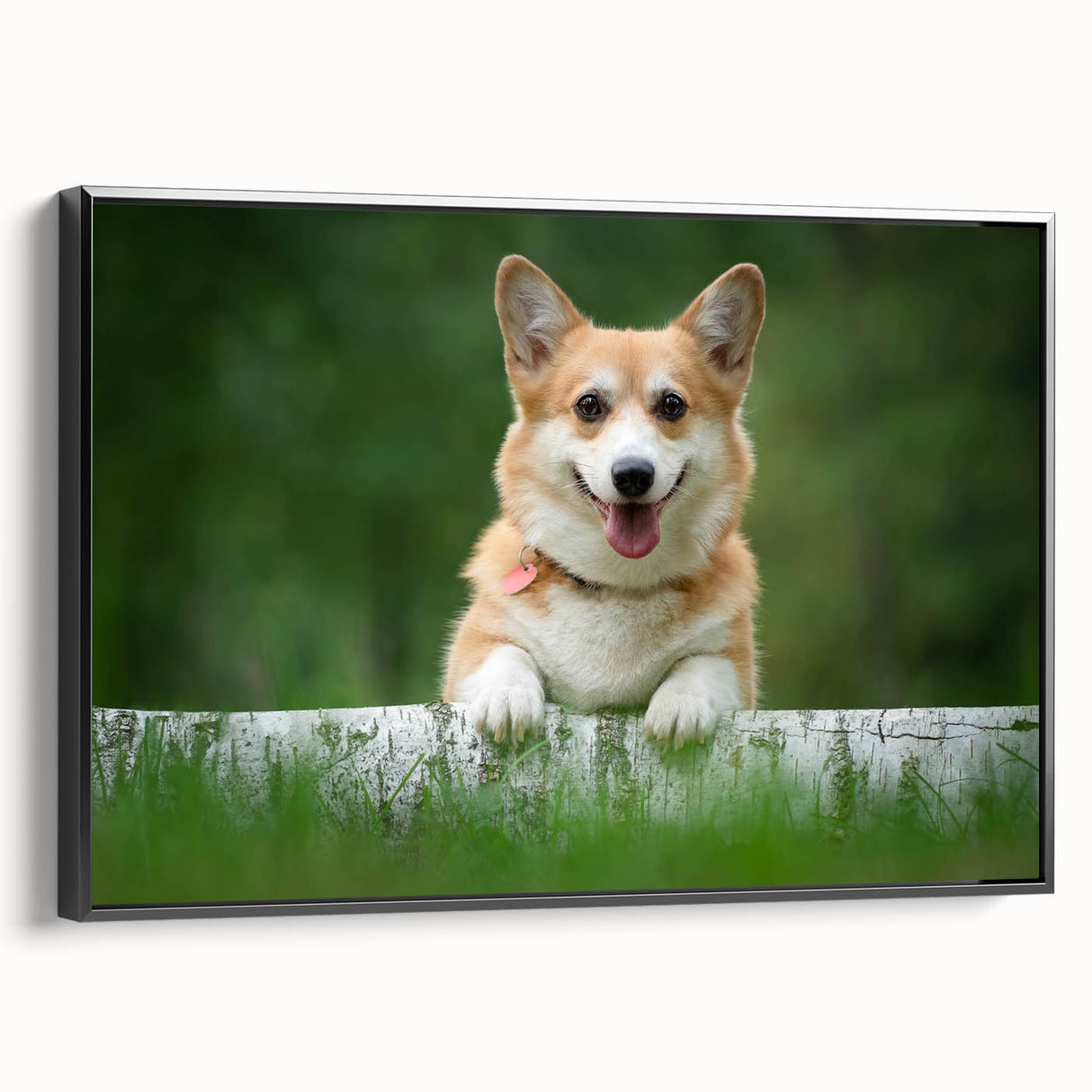Framed canvas wall art featuring an artistic design of playful corgis in vibrant colors, displayed against a sleek black frame, ideal for dog lovers' home decor.