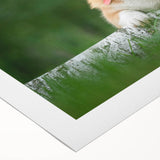 Colorful rolled canvas wall art showcasing a playful Corgi design, featuring vibrant hues and whimsical patterns, ideal for dog lovers' home decor.