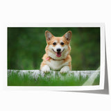 Corgi wall art collection print showcasing playful corgis in vibrant colors and playful poses, ideal for dog lovers and modern home decor.