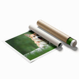 Corgi-themed wall art collection print showcasing playful corgi illustrations in vibrant colors, rolled and ready for framing, perfect for dog lovers' decor.