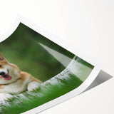 Corgi-themed wall art collection print showcasing playful, colorful illustrations of adorable corgis in various poses, rolled and ready for framing.