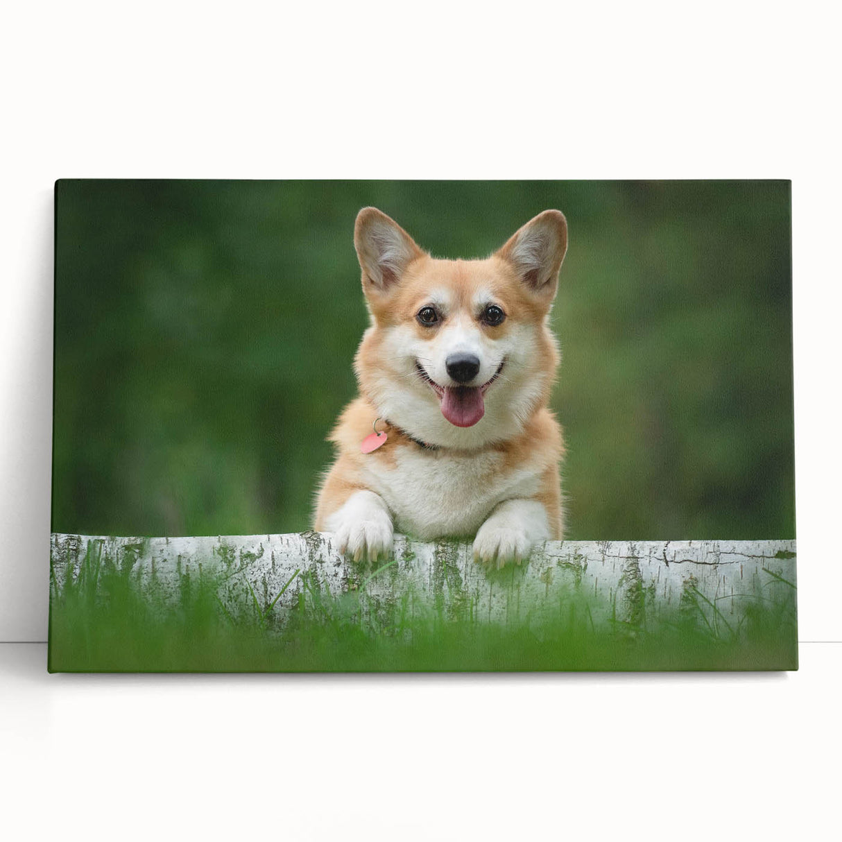 Brightly colored corgi wall art collection featuring playful designs on stretched canvas, ideal for pet lovers' home decor. Perfect for adding a whimsical touch to any room.