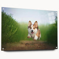 Corgi wall art collection displayed in acrylic glass, showcasing vibrant colors and playful design. Perfect for dog lovers and home decor enthusiasts.