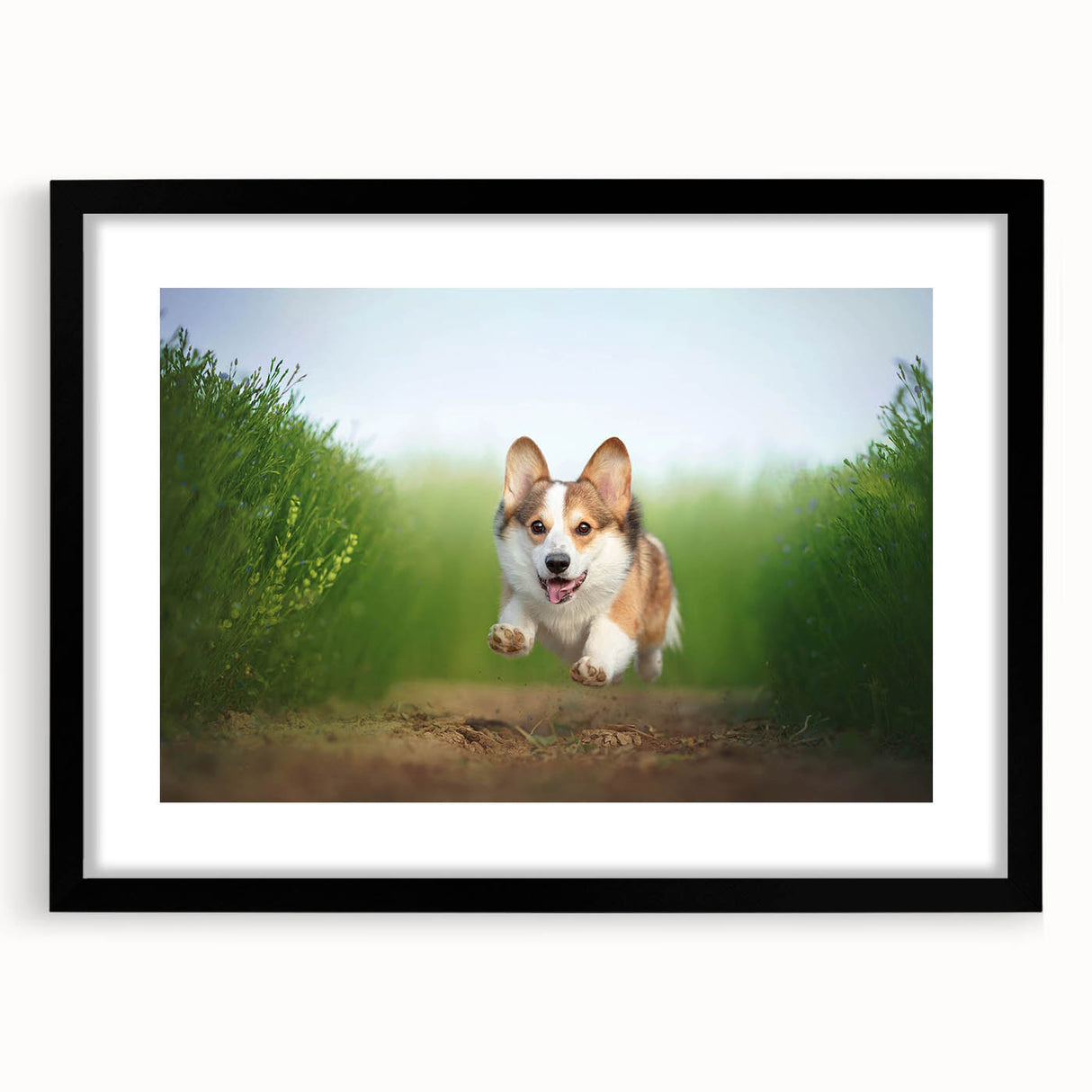 Framed wall art featuring a playful corgi design in a black frame with a white mat, perfect for pet lovers and home decor enthusiasts. Ideal for adding a cheerful touch to any room.