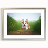 Corgi-themed wall art collection framed in a stylish silver frame with a mat, showcasing playful corgi designs, perfect for dog lovers' home decor.