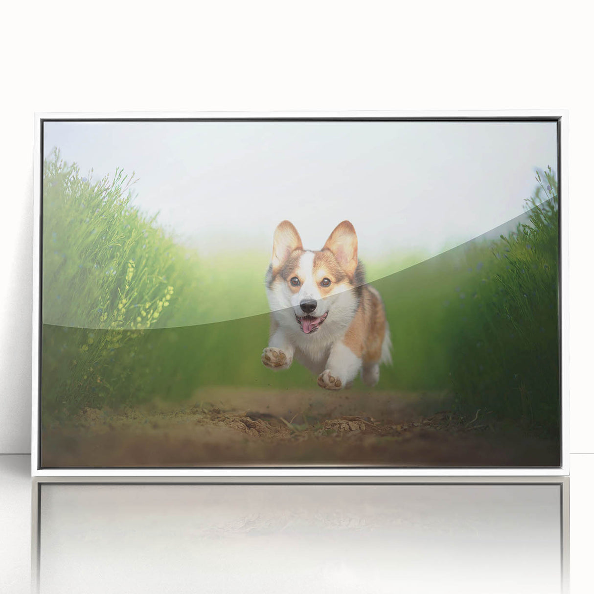 Framed acrylic wall art featuring a playful Corgi design, showcasing vibrant colors and a white frame, perfect for dog lovers' home decor.