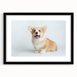 Black-framed wall art collection featuring a playful corgi design, showcasing vibrant colors and intricate details, perfect for dog lovers' home decor.