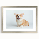 Corgi-themed wall art collection framed in silver with a white mat, showcasing playful corgi illustrations, perfect for pet lovers' home decor.