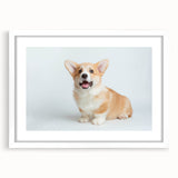Framed wall art collection showcasing a playful corgi design, featuring a white mat and sleek black frame, perfect for dog lovers and home decor enthusiasts.
