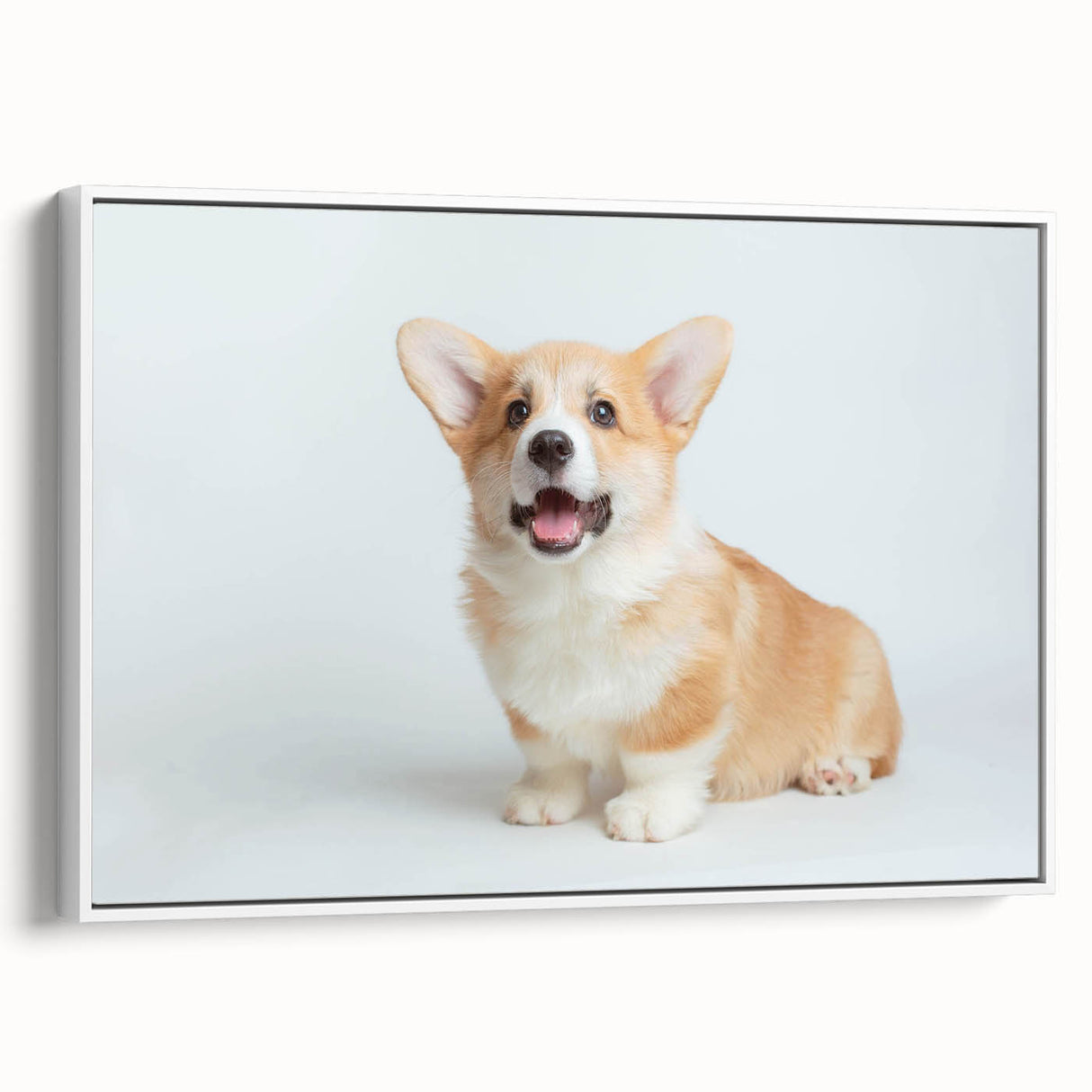 Framed wall art collection showcasing a side view of a cute Corgi dog design on a white background, perfect for pet lovers and home decor enthusiasts.