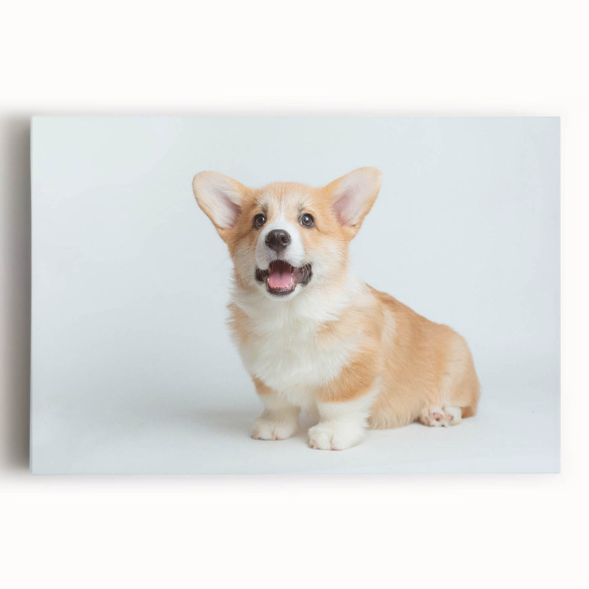 Vibrant stretched canvas wall art featuring a playful corgi design, showcasing bold colors and whimsical details, perfect for dog lovers' home decor.