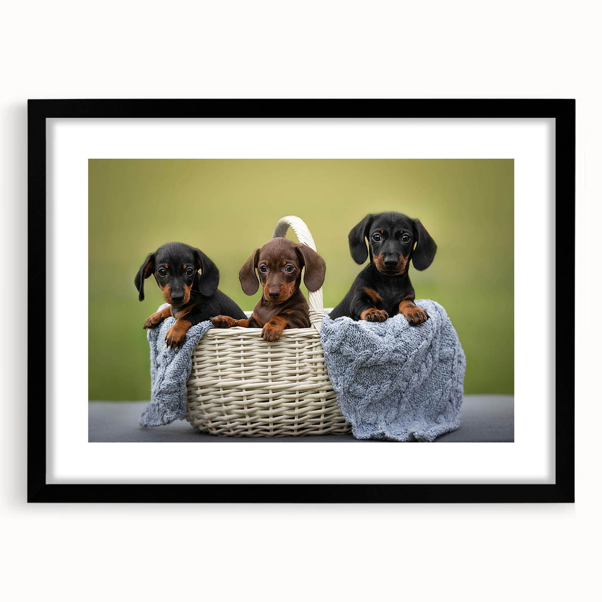 Dachshund-themed wall art collection framed in black with a white mat, showcasing a playful design ideal for dog lovers' home decor, enhancing any room's charm.
