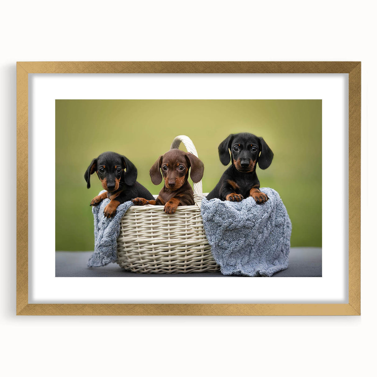 Dachshund-themed wall art in a gold frame with mat, showcasing a playful design of a brown and black dachshund, perfect for dog lovers and home decor.