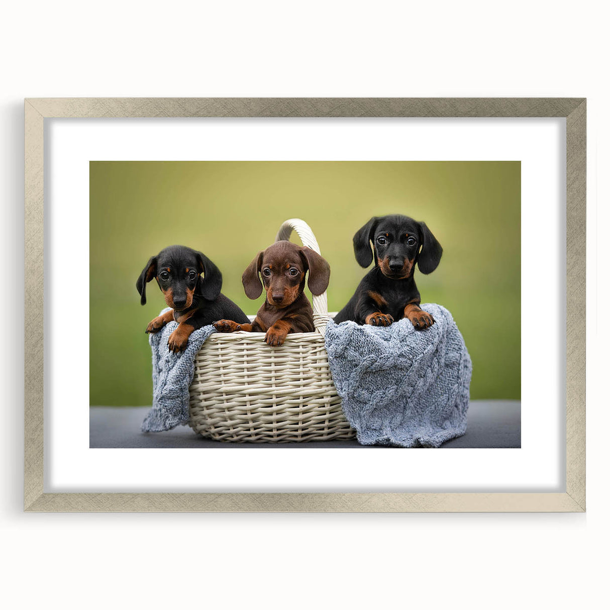 Dachshund-themed wall art collection framed in silver, showcasing vibrant colors and playful designs, perfect for dog lovers' home decor.