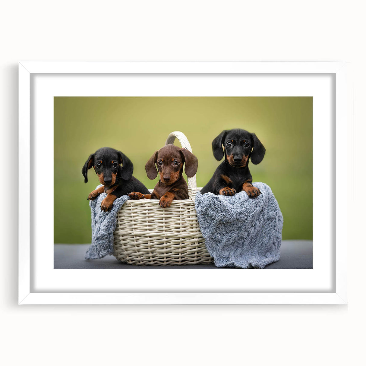 Dachshund-themed wall art collection featuring a white frame and mat, showcasing a playful design of a dachshund dog against a minimalist background, perfect for pet lovers.
