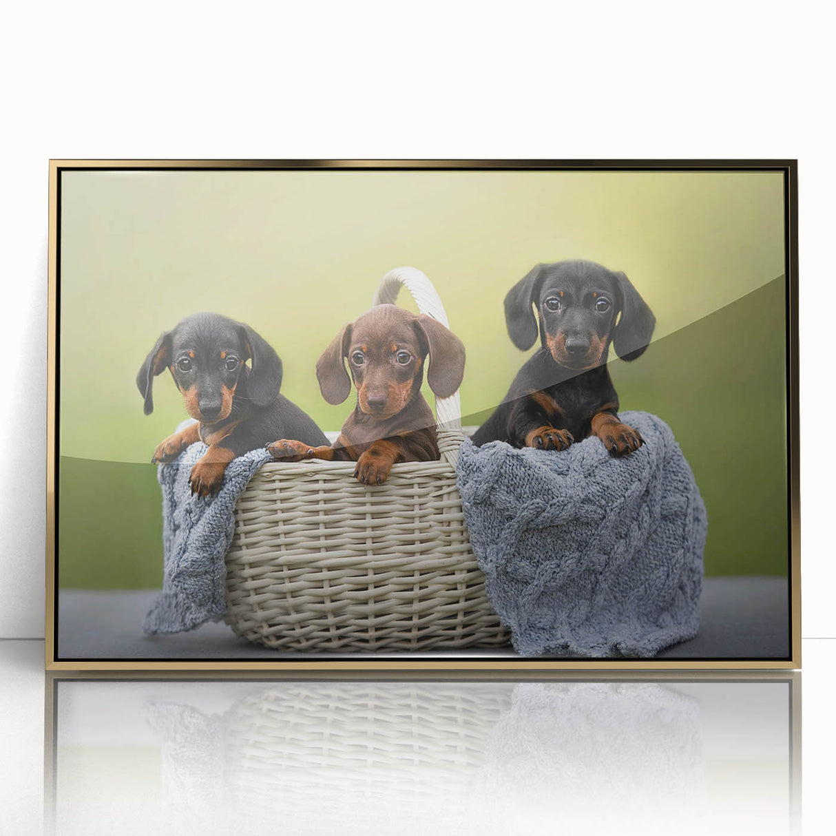 Framed acrylic wall art featuring a stylish gold-accented design of a dachshund, showcasing the dog’s playful expression and detailed fur texture, perfect for pet lovers' home decor.
