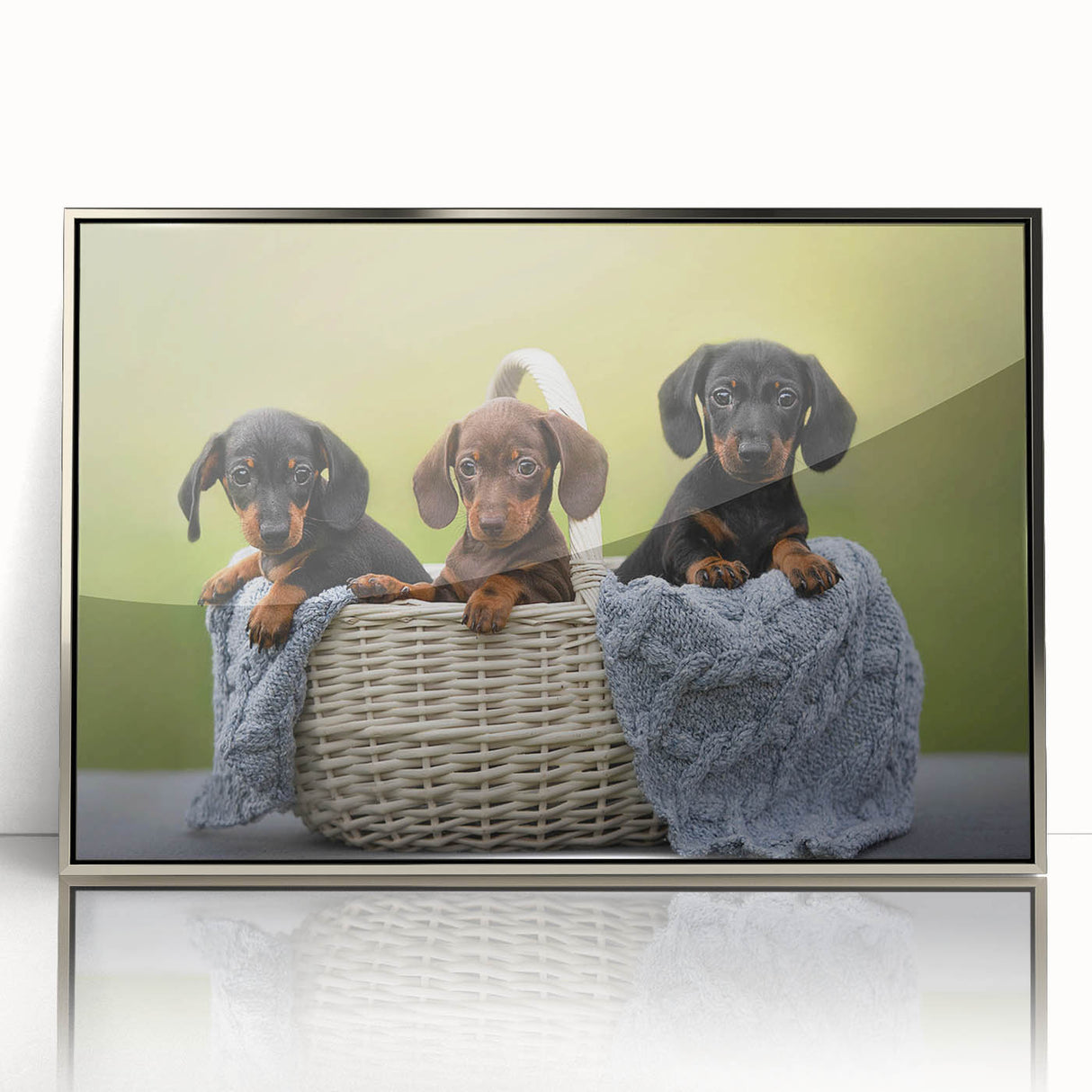 Framed wall art featuring a stylish dachshund design in silver acrylic, showcasing the playful essence of the breed with vibrant colors and modern aesthetics. Ideal for pet lovers.
