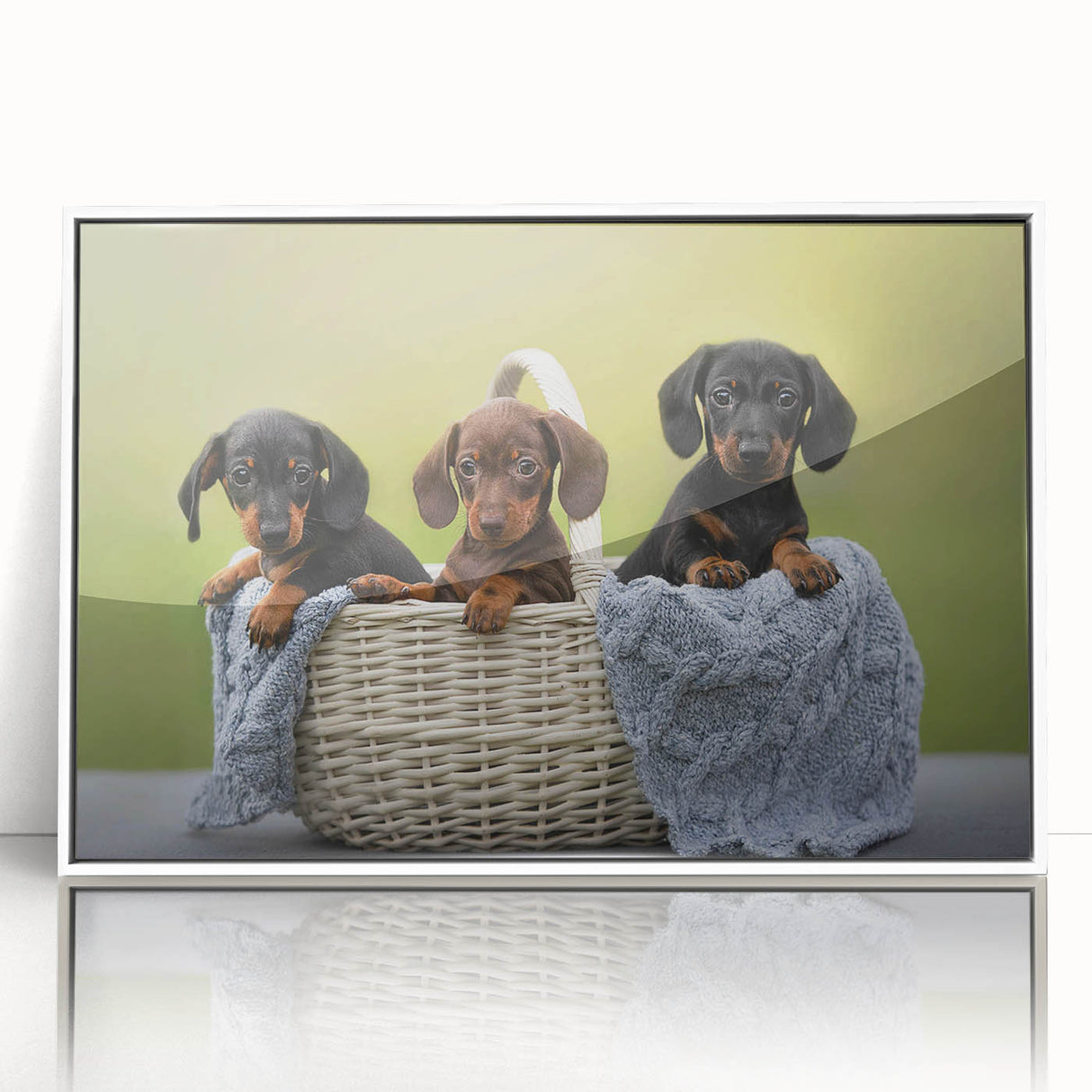 Framed wall art featuring a charming dachshund design with vibrant colors, displayed in an elegant white frame, perfect for dog lovers' home decor.