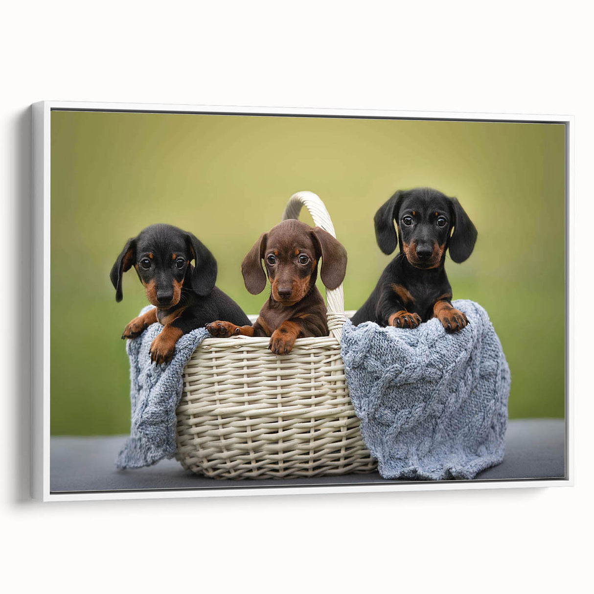 Framed canvas wall art showcasing a unique Dachshund design, presented in a white frame with a side view that highlights its vibrant colors and playful details. Ideal for dog lovers and home decor enthusiasts.
