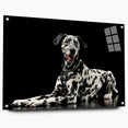 Side view of a Dalmatian-themed wall art piece made of acrylic glass, showcasing vibrant colors and intricate designs, perfect for dog lovers' decor.