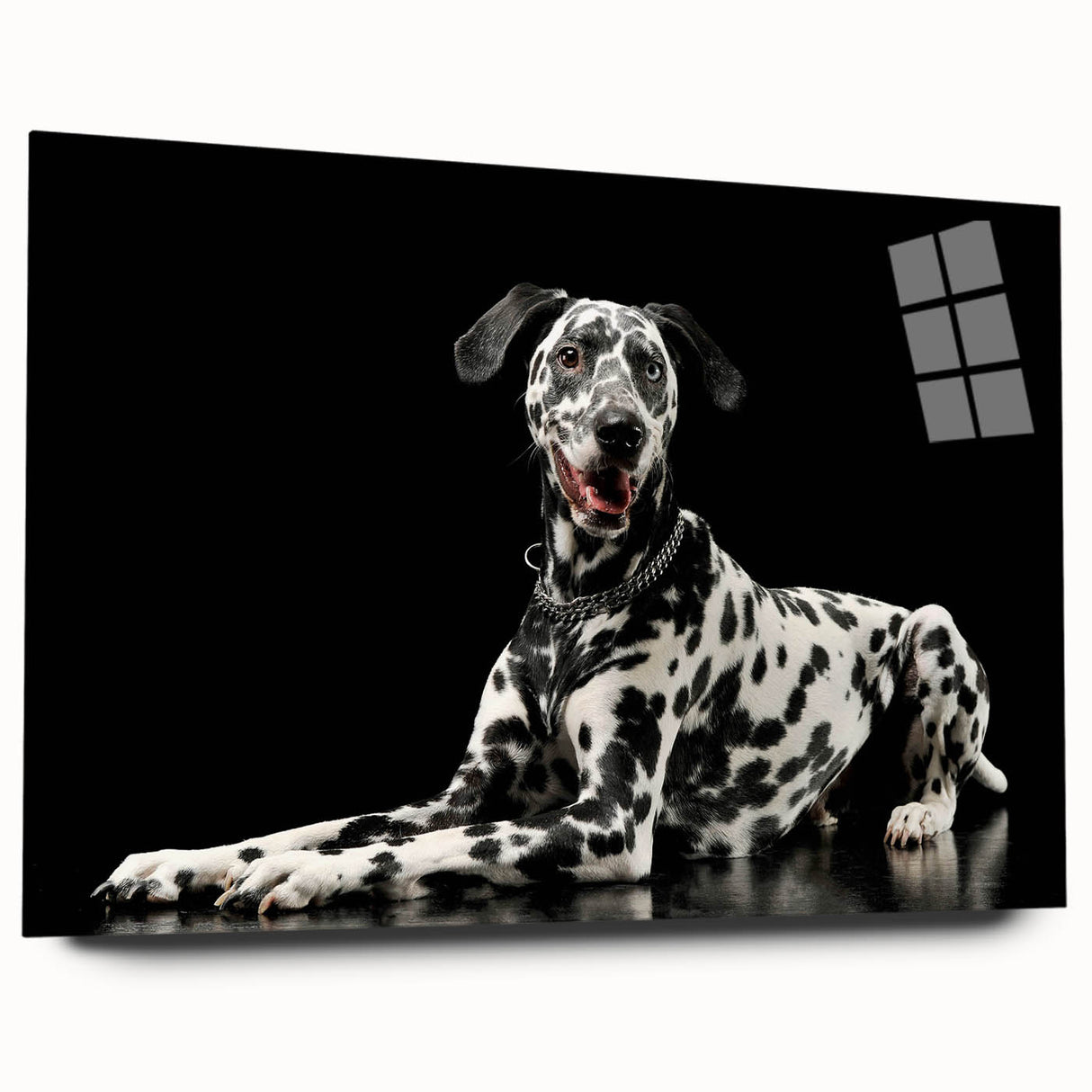 Side view of a sleek acrylic glass wall art piece showcasing a vibrant Dalmatian design, perfect for adding a pop of color and personality to any room decor.
