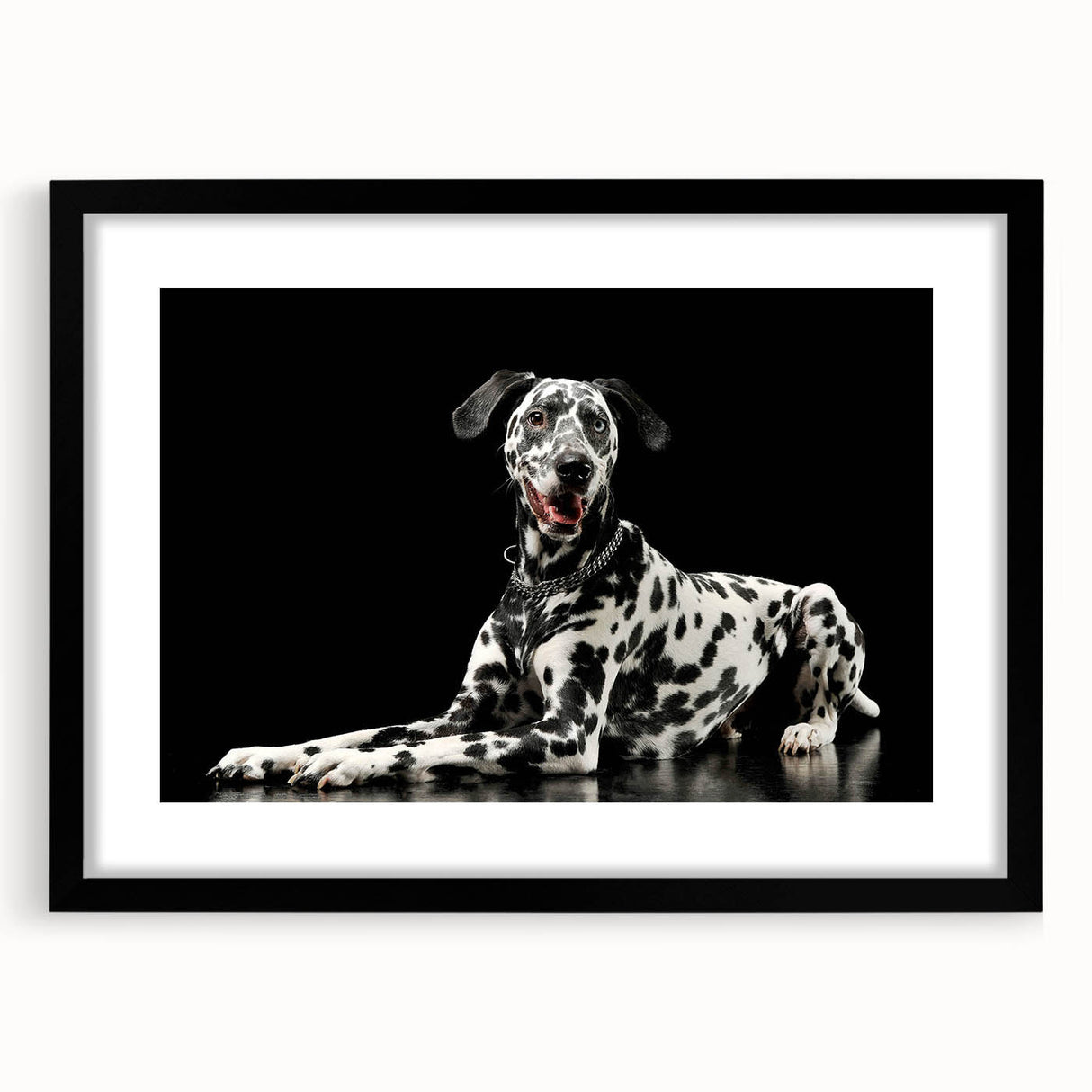 Framed wall art featuring a striking Dalmatian design with a black mat, showcased in a sleek black frame, perfect for dog lovers and modern decor.