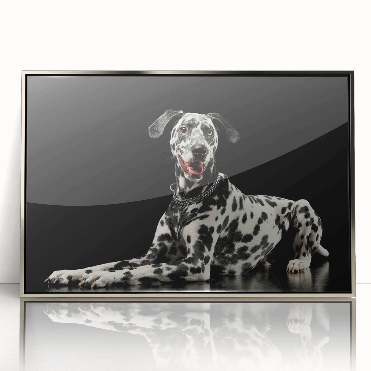 Framed acrylic wall art featuring a Dalmatian design, showcasing a silver frame and vibrant colors, perfect for dog lovers and modern decor enthusiasts.