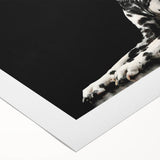 Dalmatian-themed rolled canvas wall art showcasing a vibrant and playful design, perfect for dog lovers, featuring a white background with black spots and artistic elements.