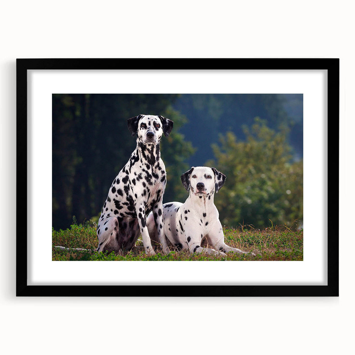 Framed wall art featuring a stylish Dalmatian design with a black mat, showcasing a contemporary aesthetic ideal for dog lovers' home decor.