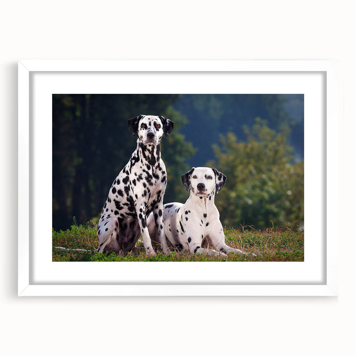 Framed wall art featuring a stylish Dalmatian design, set in a white frame with a mat, showcasing a modern and playful aesthetic perfect for dog lovers.