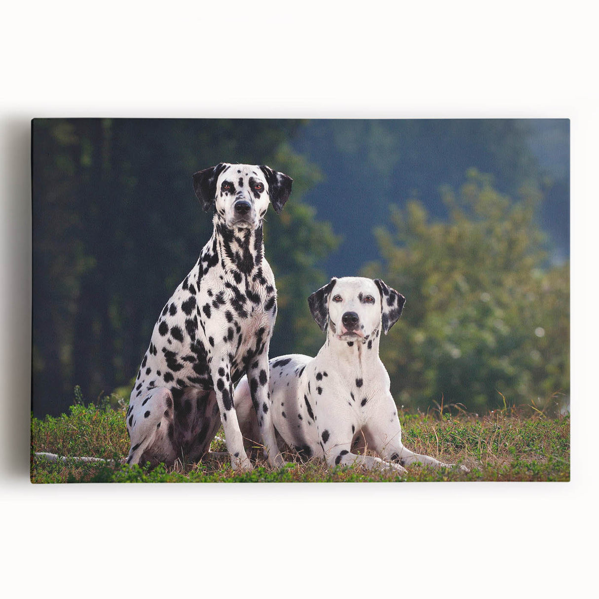 Dalmatian wall art design on stretched canvas, showcasing a vibrant black and white spotted dog against a minimalist background, ideal for pet lovers' decor.