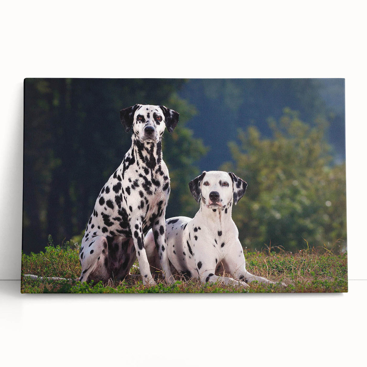 Dalmatian-themed stretched canvas wall art showcasing a playful dog design in black and white, perfect for pet lovers and home decor enthusiasts.